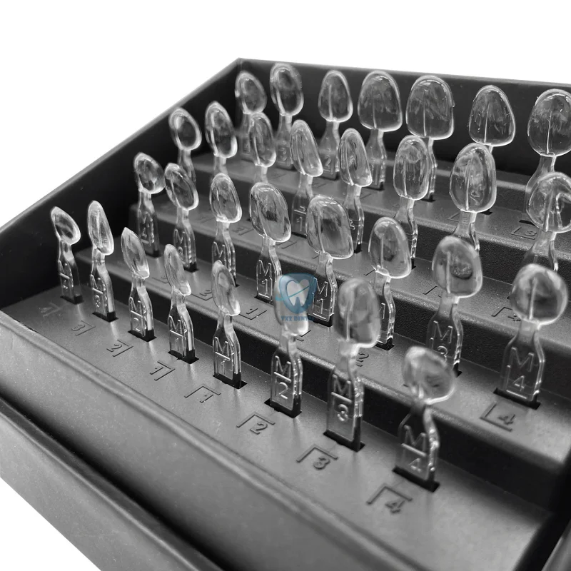 Kit de moules pour placage den - Teeth Whitening Moulds avis et prix